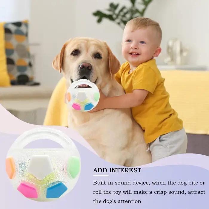 Jouet pour chien : Ballon de football flottant avec poignée
