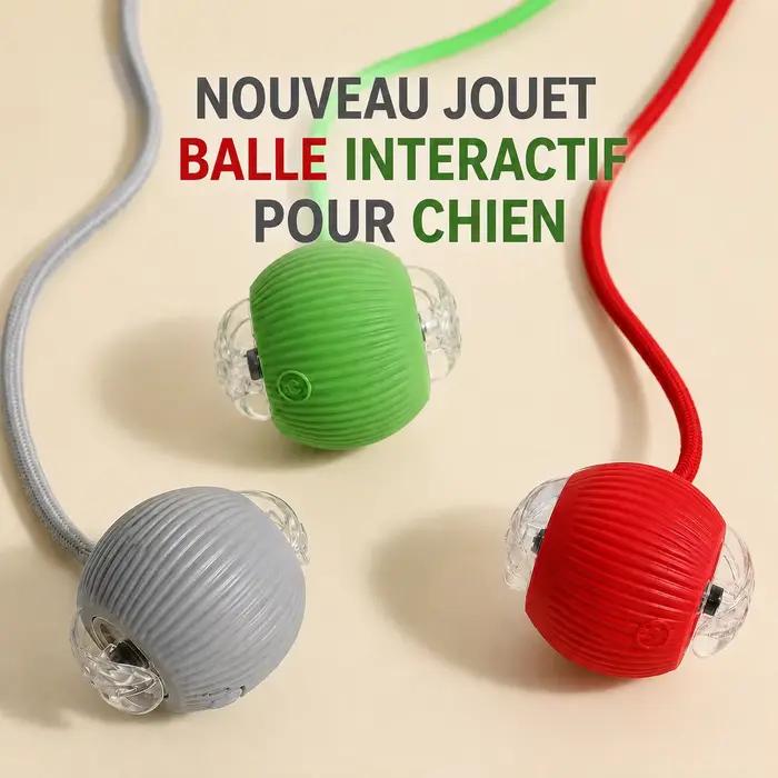 Nouveau jouet interactif de balle de chien