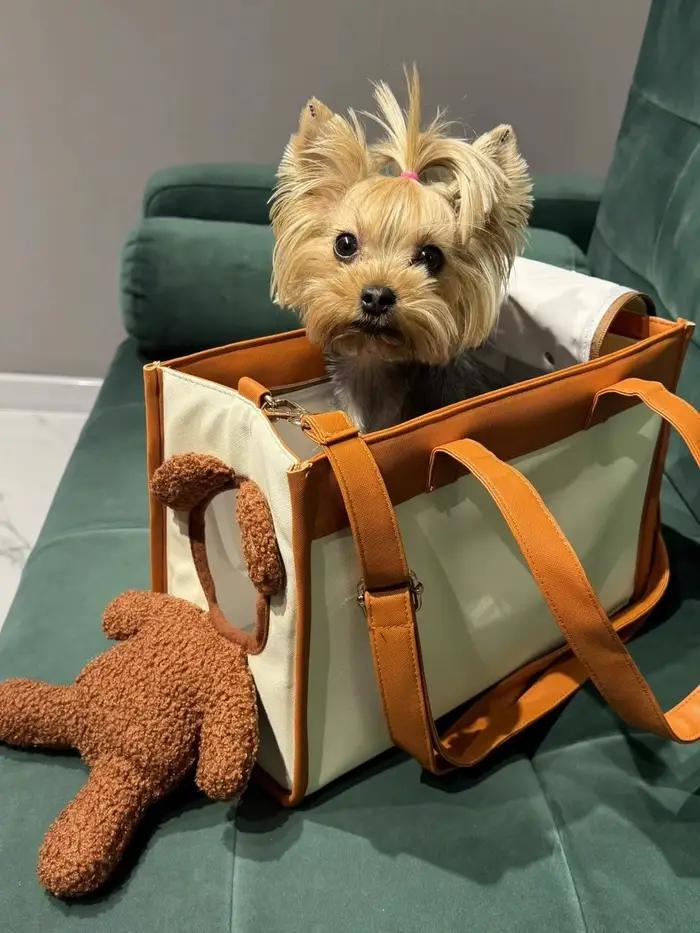 Sac de transport créatif pour animaux de compagnie