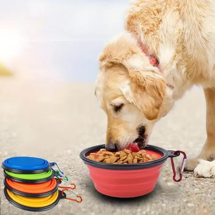 Bol pliable pour chien