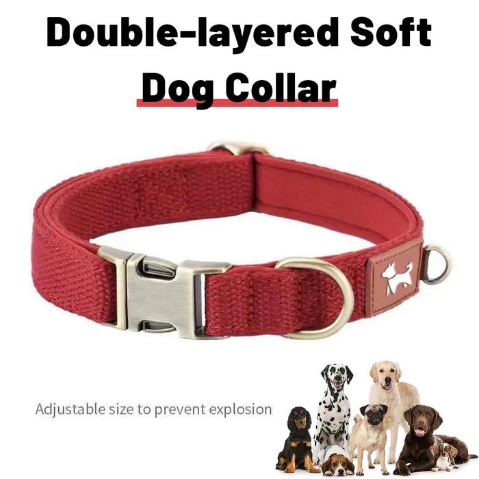 Colliers pour chiens et colliers pour animaux de compagnie