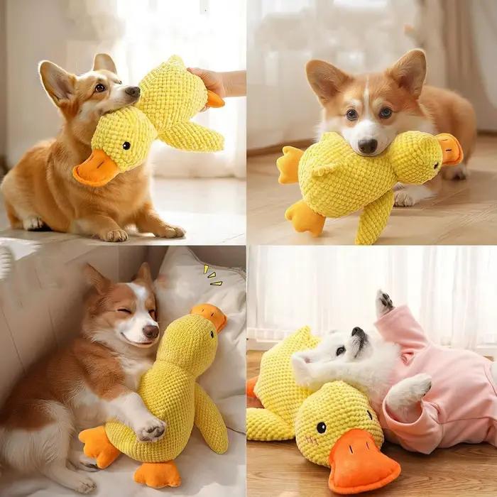 Jouet pour chien en peluche résistant aux morsures