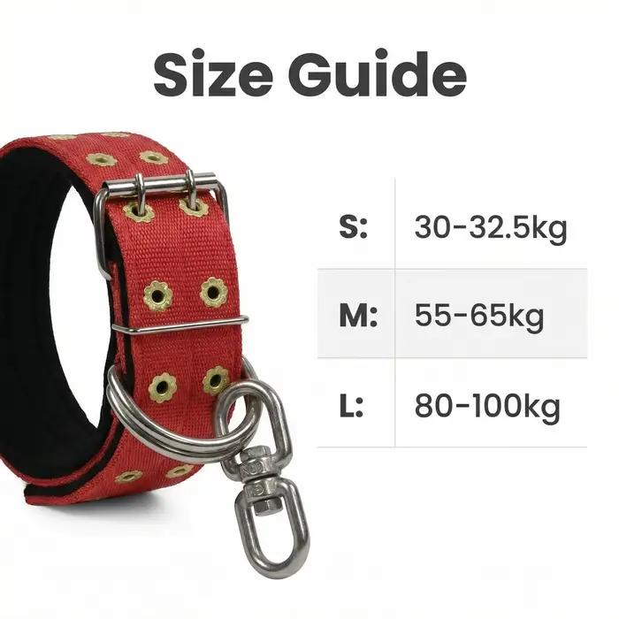 Collier anti-évasion pour chien