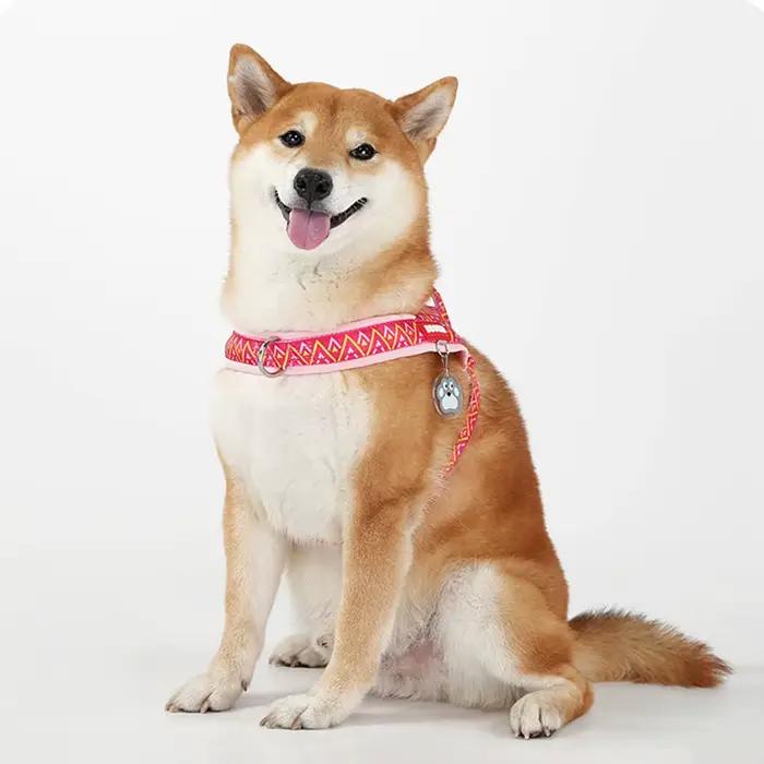 Harnais pour chien selle imprimée à la mode