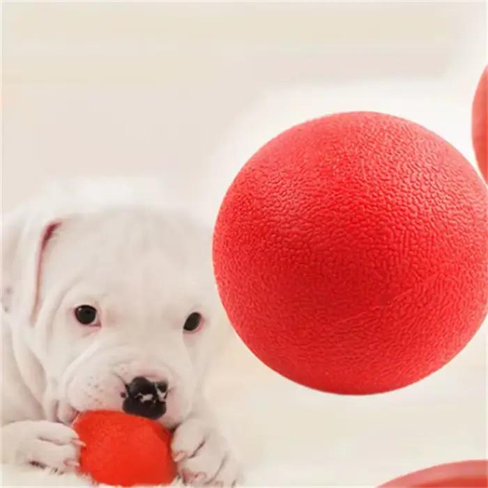 Balles rebondissantes pour chiens