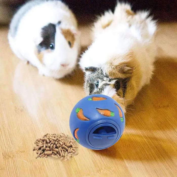 Jouet coule en forme de lapin pour animal de compagnie