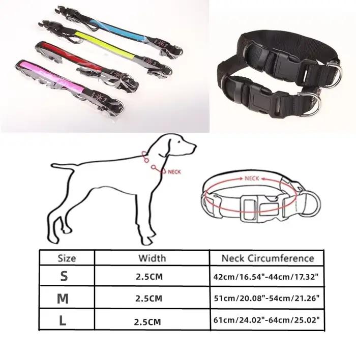 Collier lumineux LED pour chien