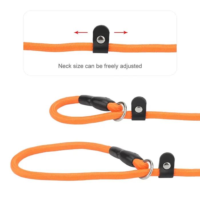 Collier Rond Tressé pour Chien, Accessoire d'Entraînement sans Nervures, Colliers Antidérapants avec Anneau d'Arrêt Coulissant, Idéal pour Petits et Moyens Chiens