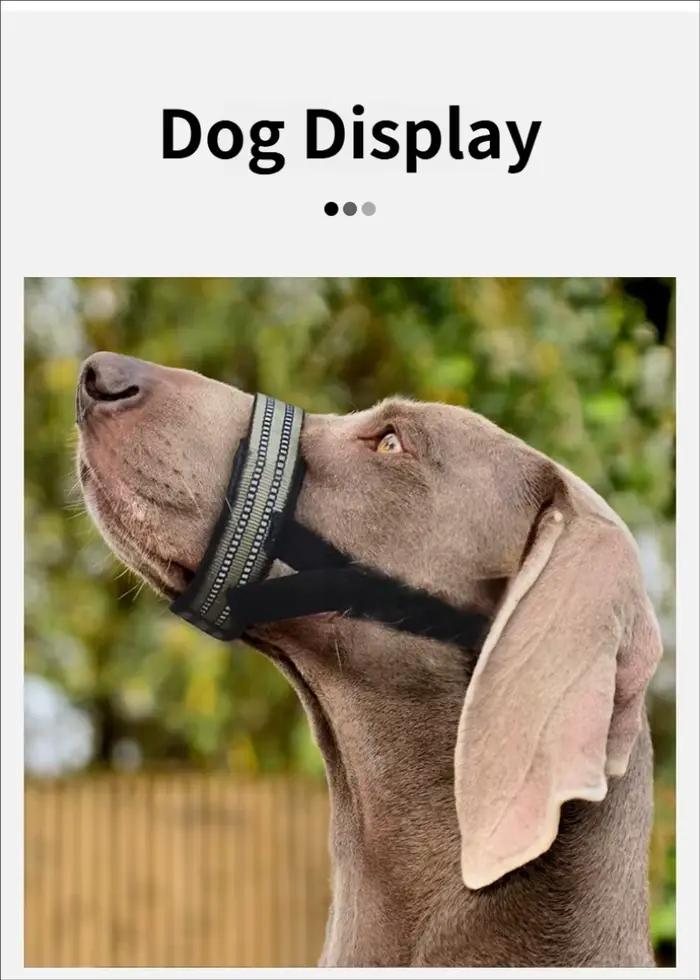 Muselière tactique pour chien d'extérieur pour grands chiens