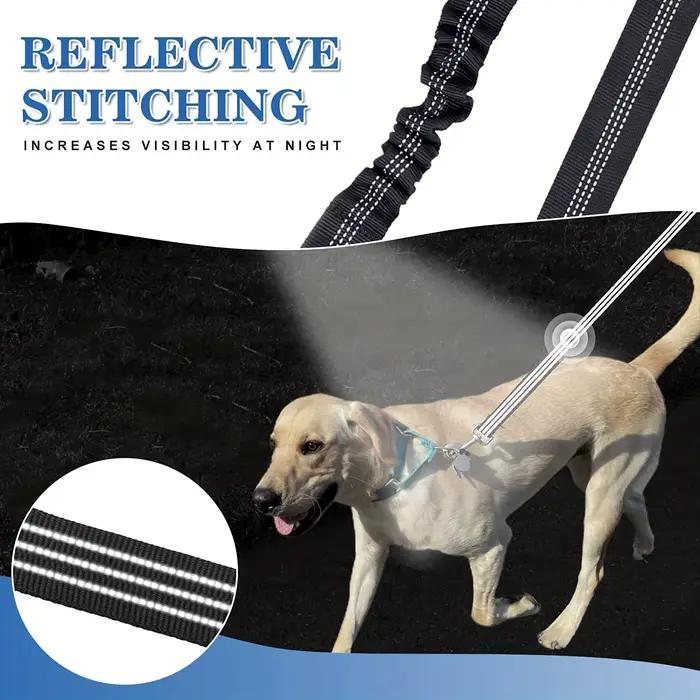 Laisses doubles pour chien de compagnie-coupleur de laisse