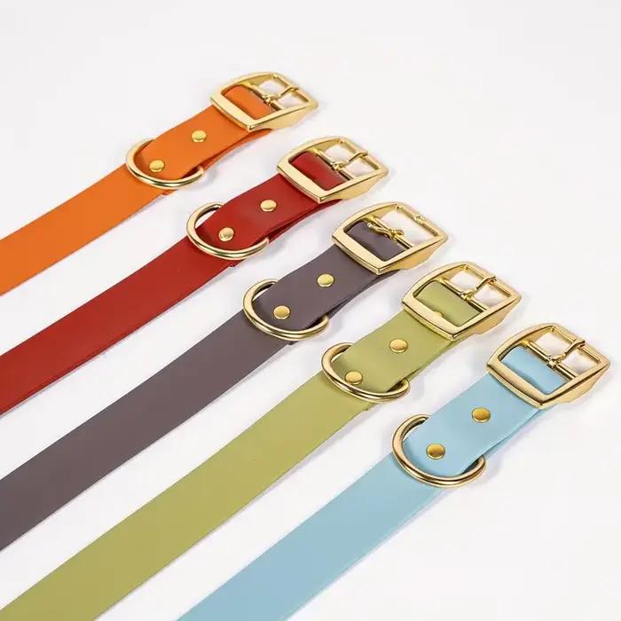 Ensemble collier et laisse pour animaux de compagnie en PVC imperméable