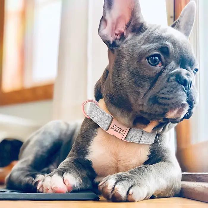 Collier de chien personnalisé réglable de haute qualité