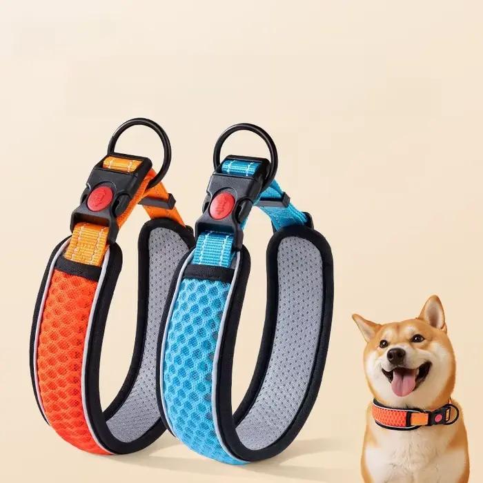 Collier pour animaux de compagnie, collier de cou, ensemble de cou, laisse de marche pour chien, chaîne pour chien, collier, collier pour chien de compagnie