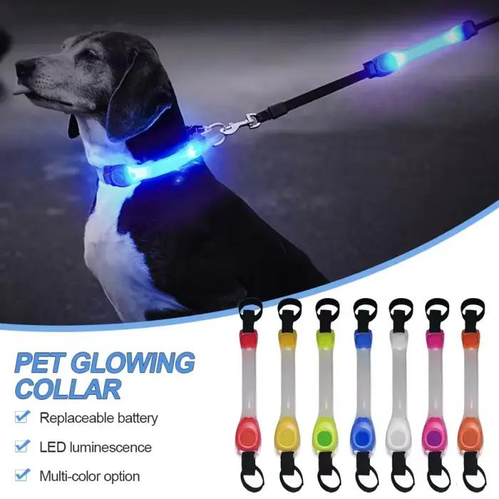 Collier lumineux de sécurité anti-perte pour chien