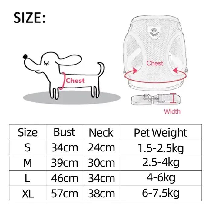 Harnais pour chiens pour petits chats