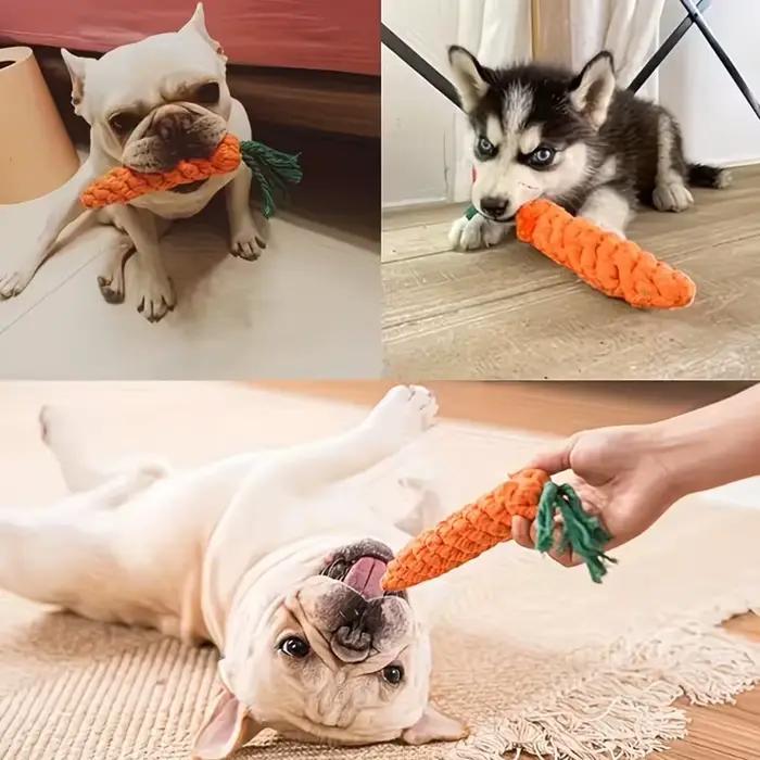 Jouet pour chien en forme de carotte résistant aux morsures avec nœud en corde - Jouet à mâcher interactif pour chiens de taille moyenne