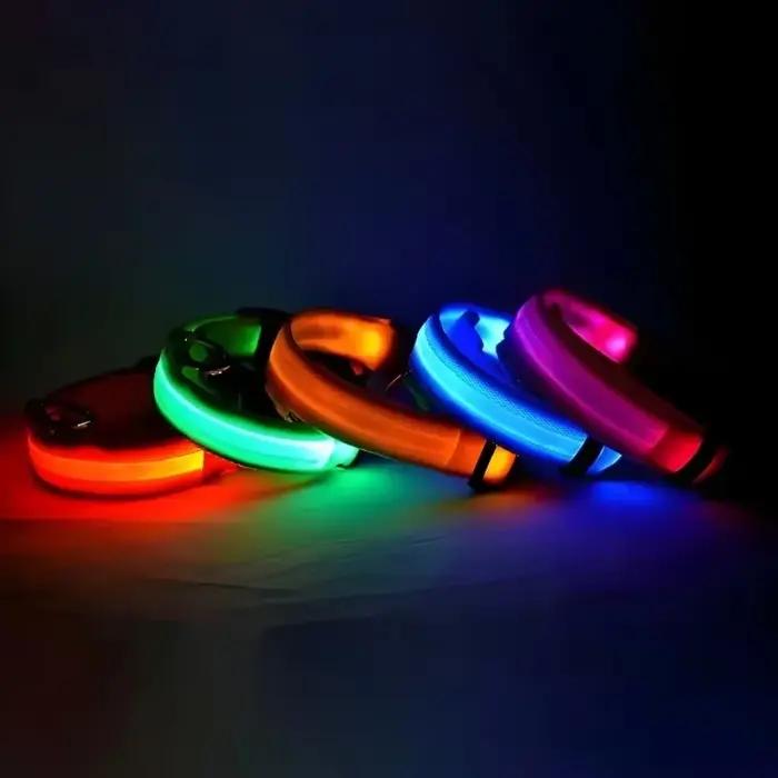 Collier de chien lumière LED nuit sécurité clignotant lueur dans