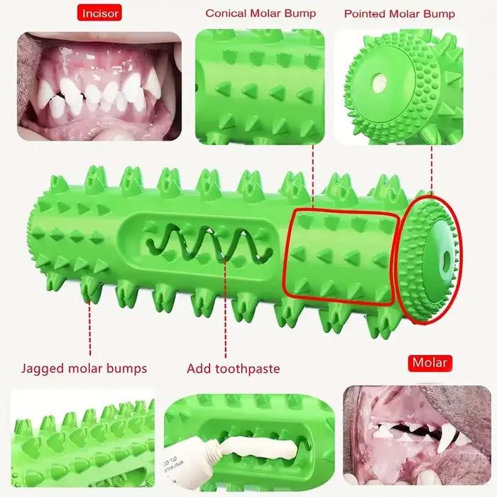 Bâton à mâcher dentaire approuvé par le vétérinaire – Jouet de brosse à dents rafraîchissante 3 en 1 pour petits/moyen