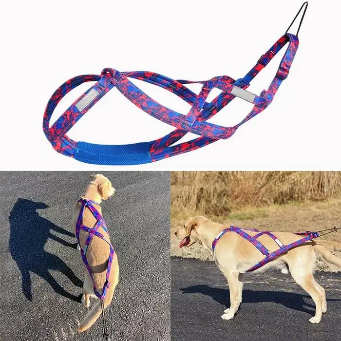 Harnais de course pour chien