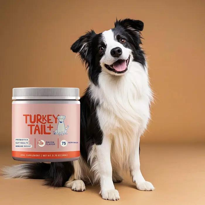 Poudre Probiotique Canine Soutien Santé Intestinale Amélioration du Bien-être Digestif Renforce la Défense Corporelle Améliore la Vitalité de l'Animal de Compagnie Soin Quotidien 100g