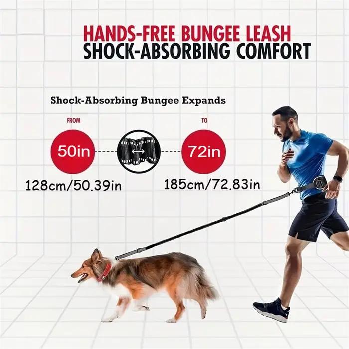 Laisse de chien mains libres
