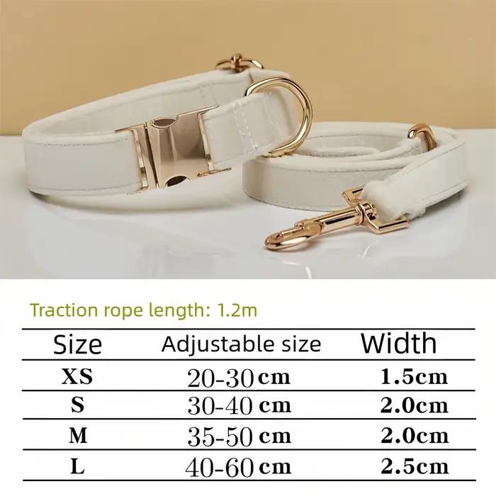 Collier pour chien, anneau de cou pour chat