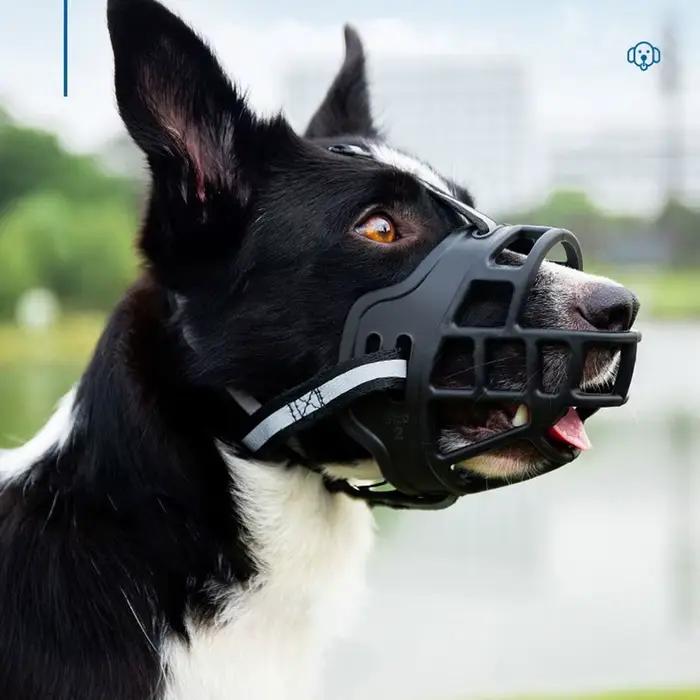 Muselière réglable anti-mordant pour chien