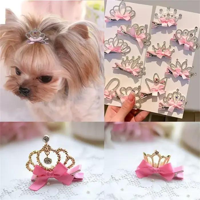 Accessoires pour chiens