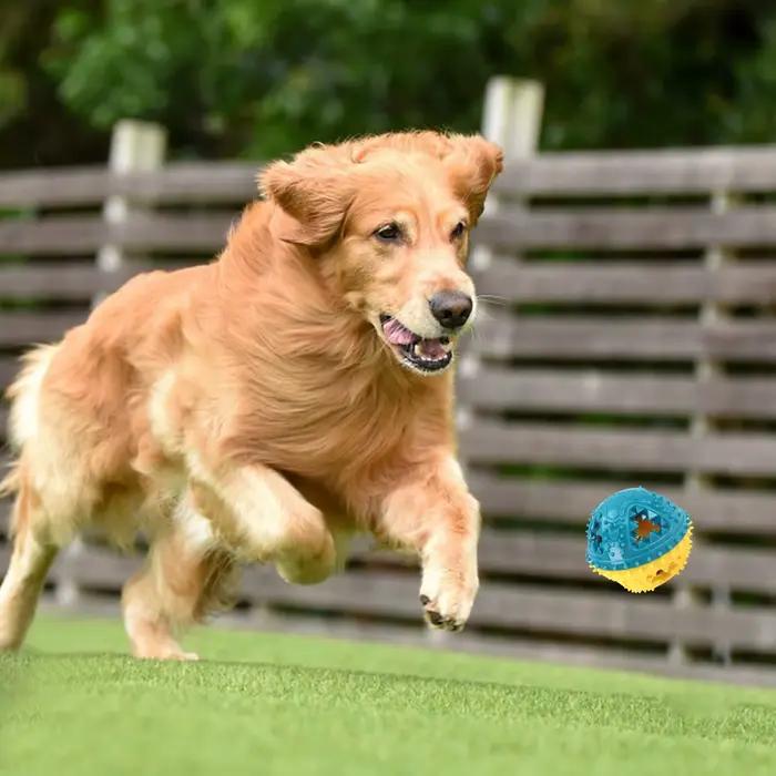 Jouets à mâcher pour chiens, boules de nourriture qui fuient, meulage des dents, balle sonore, Anti-morsure, entraînement interactif, nettoyage des dents, produits pour animaux de compagnie