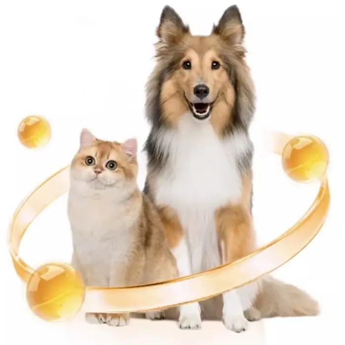 Complément nutritionnel complet 8-en-1 RedDog Pet 180g pour la santé des articulations, de la peau, du pelage et des poils des chats et des chiens