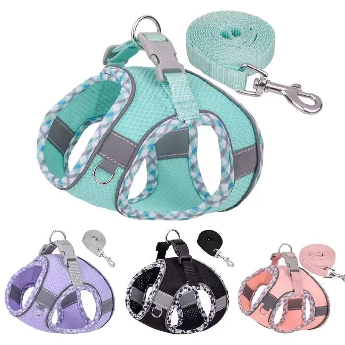 Ensemble harnais et laisse pour la promenade en extérieur pour chiens de petite à moyenne taille
