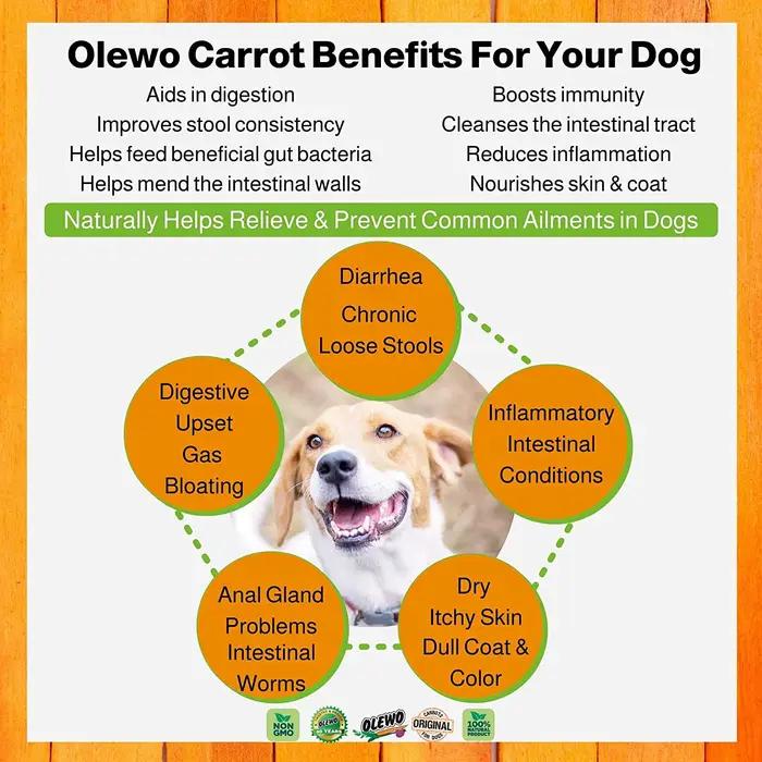Olewo-Complément alimentaire déshydraté pour chiens