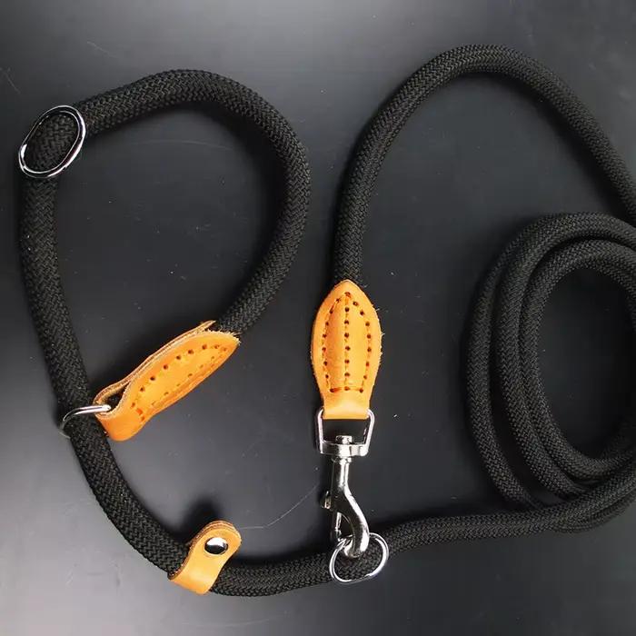 Laisse multifonctionnelle pour chien
