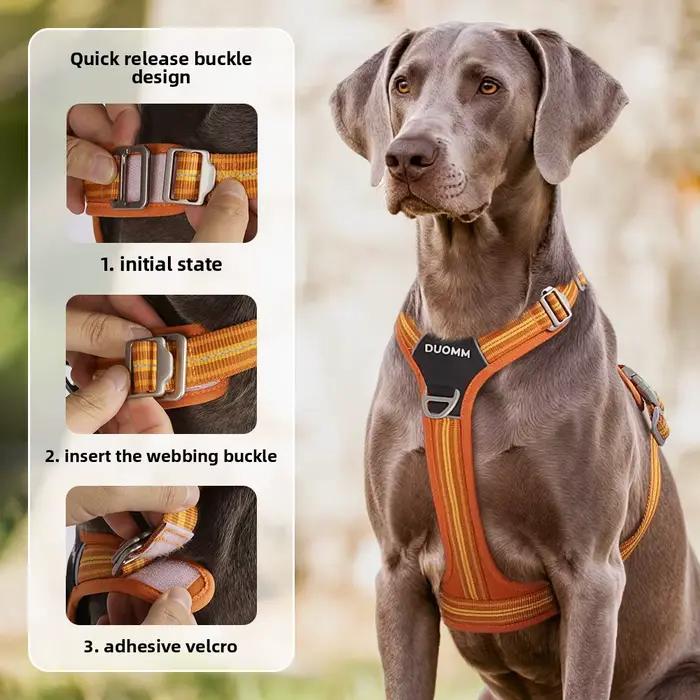 Harnais de sécurité pour chien avec double poignée