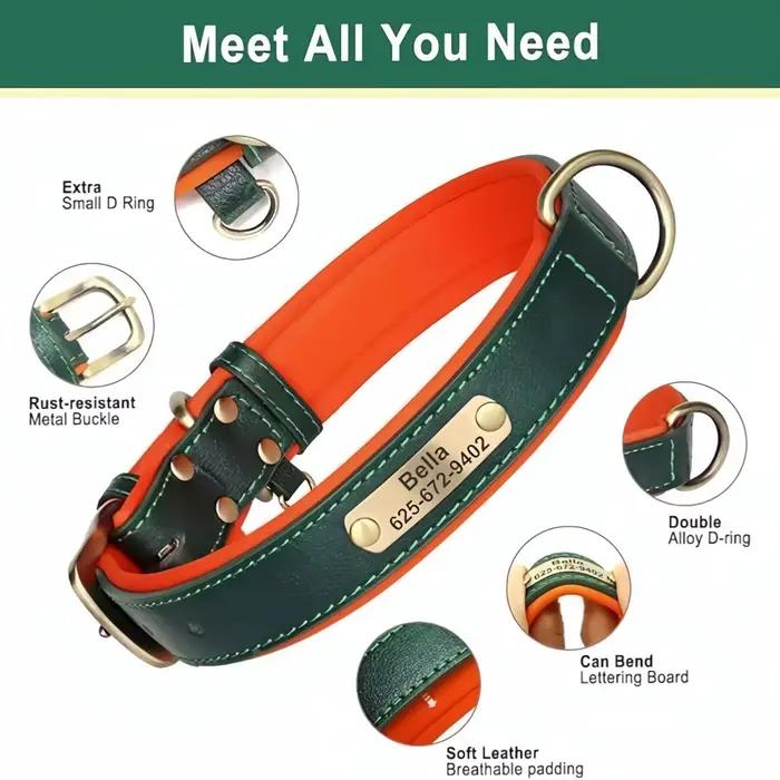 Collier pour chien personnalisé en cuir avec plaque d'identification