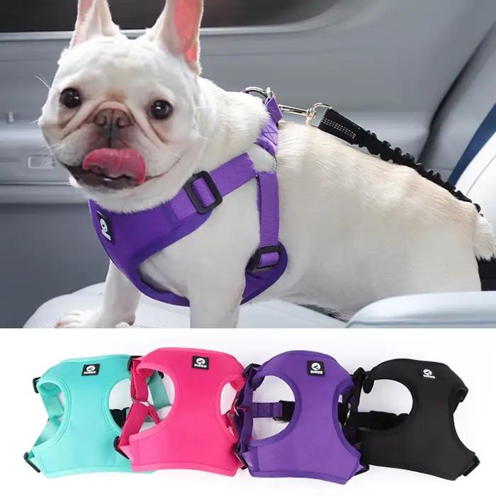 Harnais de sécurité pour chien pour voiture classique