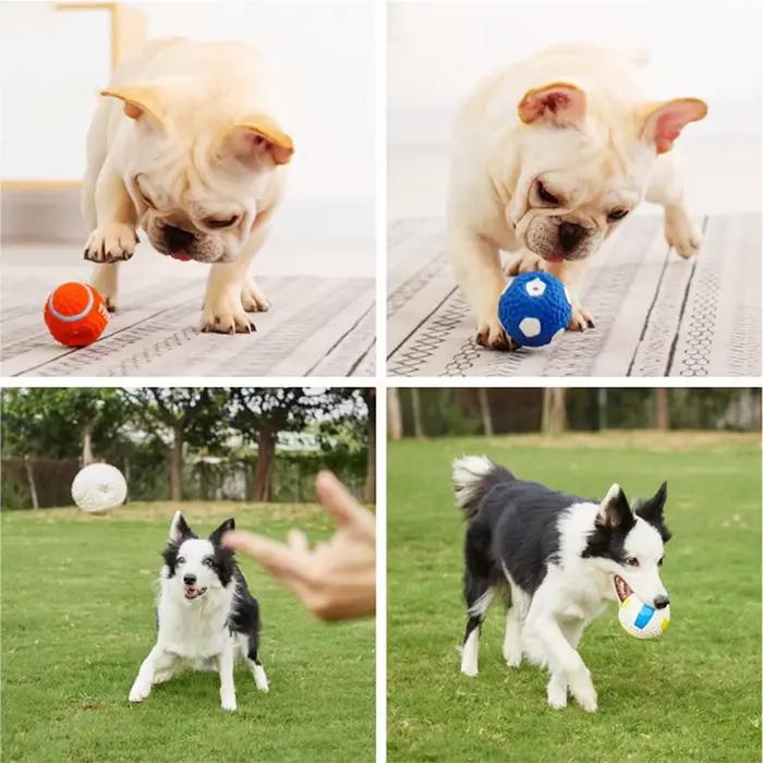 Jouets pour chien Chihuahua