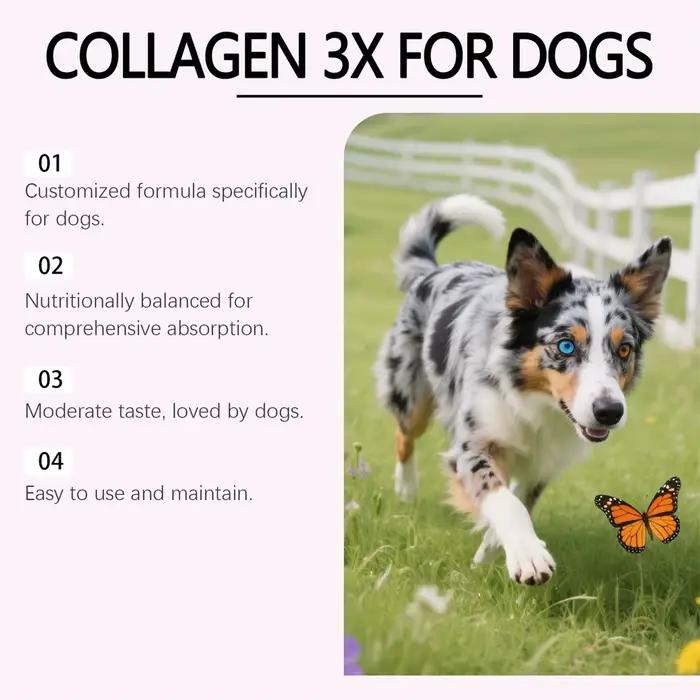 Gouttes de collagène pour chien pour la santé de la peau et du pelage