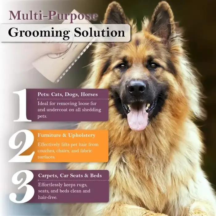 Brosse pour chien pour la mue et le toilettage