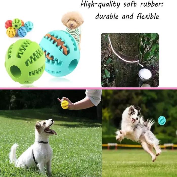 Boule de jouet pour chien