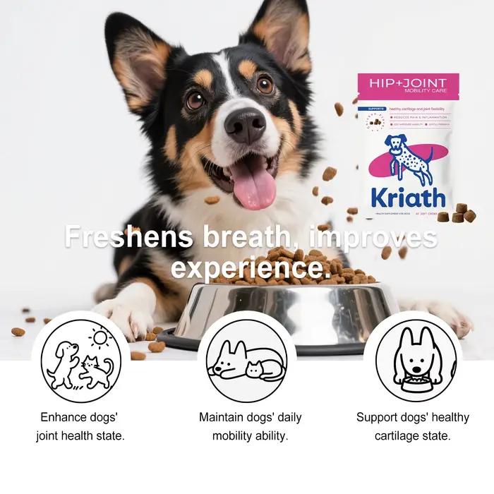 Complément alimentaire pour chiens