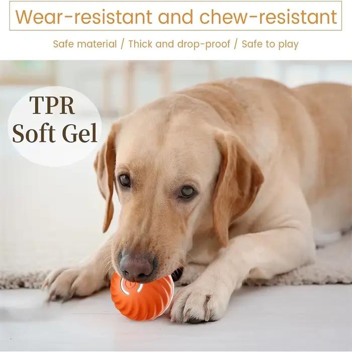 Jouets intelligents pour chiens