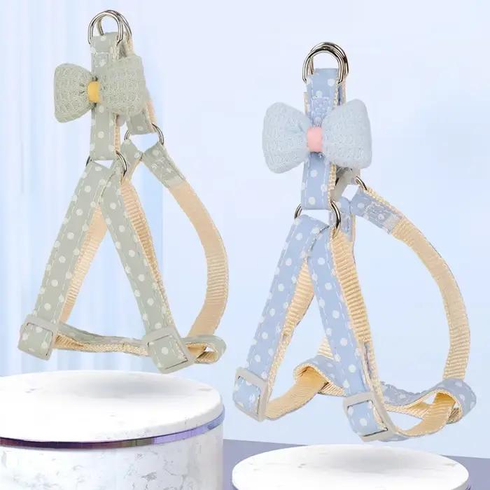 Corde de marche extérieure SFP pour animaux de compagnie