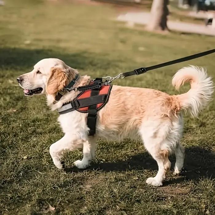 Clip de sécurité pour collier de chien, double extrémité réglable, connecteur anti-traction, sangle de sécurité pour harnais, pour chiots, chatons, chiens de petite et moyenne taille, pour la promenad
