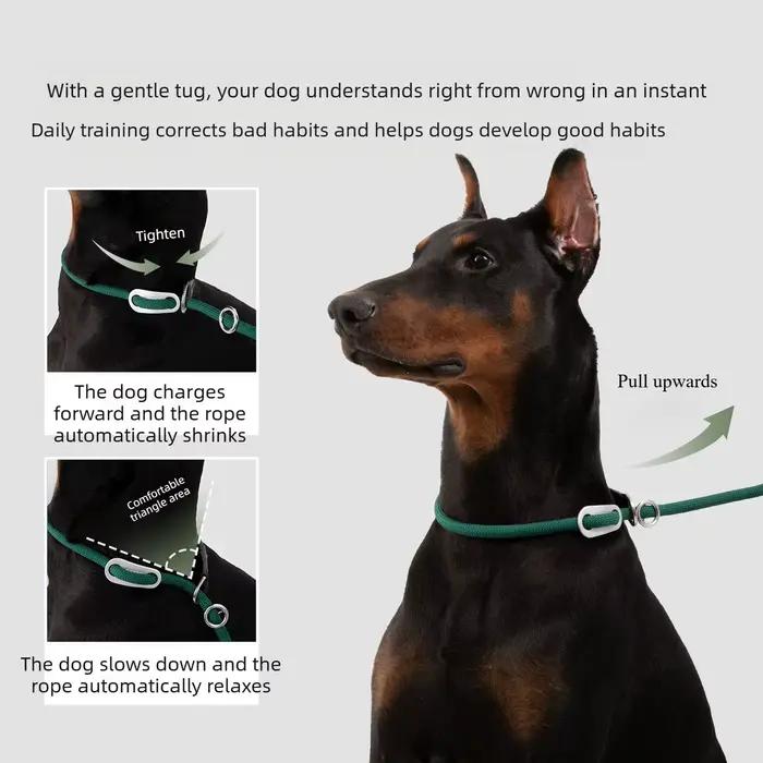 Collier et laisse pour chien en corde semi-ronde