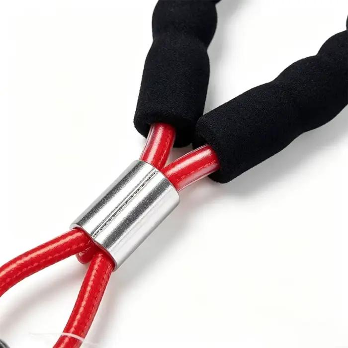 Laisse courte pour grand chien en acier inoxydable