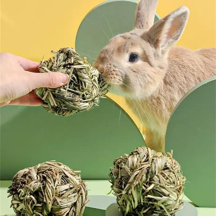 Boule à gratter pour lapin