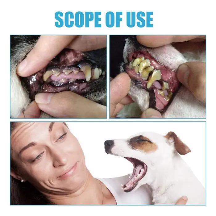 Dentifrice comestible pour animaux de compagnie