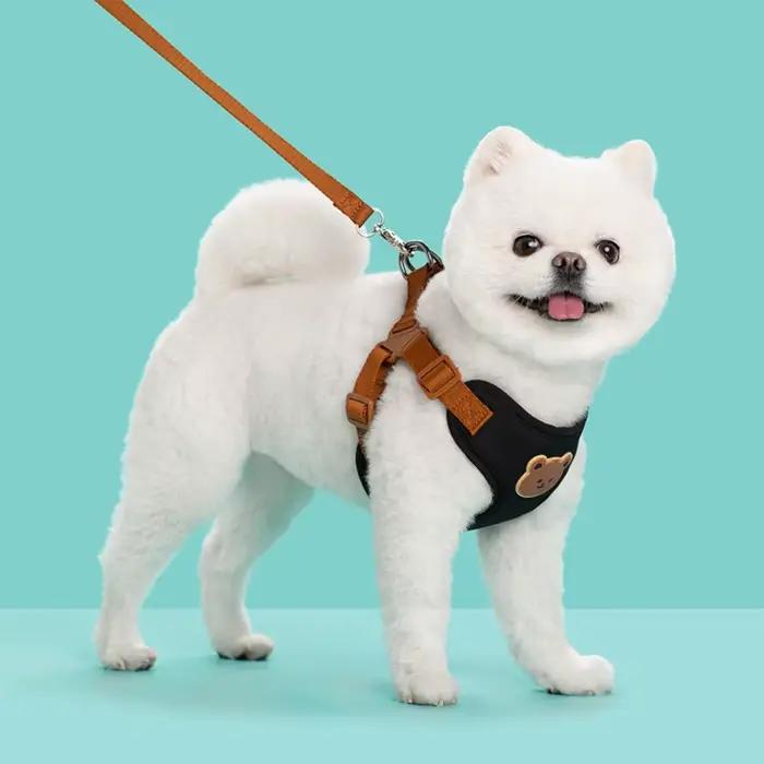 Harnais pour animaux de compagnie