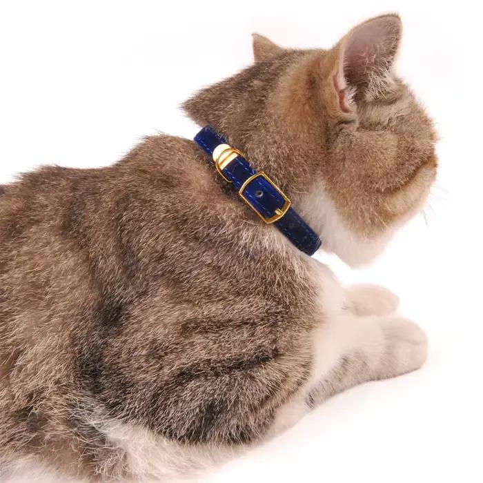 Collier de flocage pour animal de compagnie